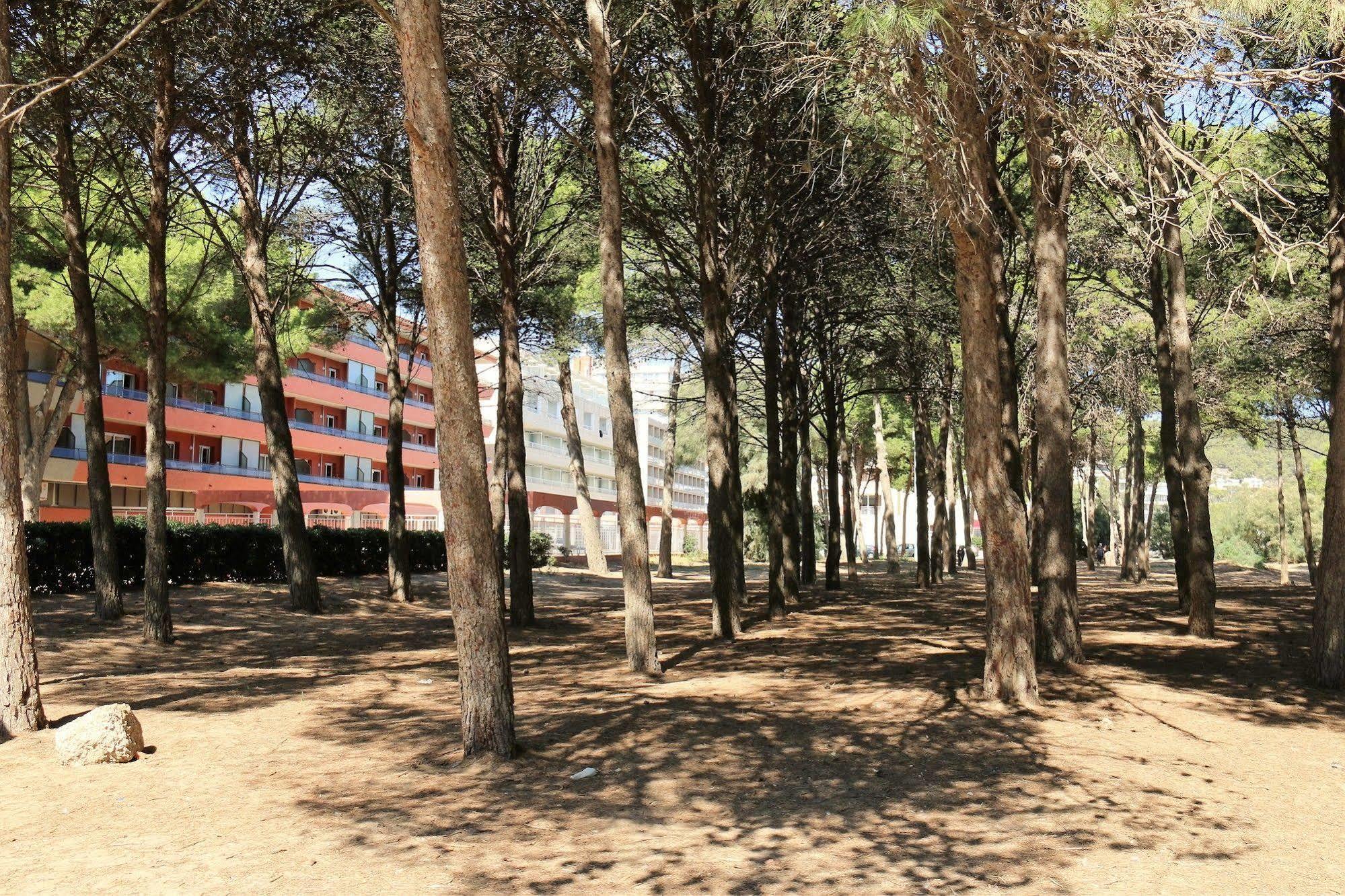 Rvapartaments La Pineda ลาเอสตาร์ติต ภายนอก รูปภาพ